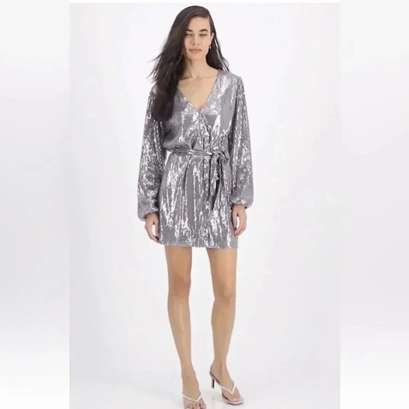 Sequined Gray Wrap Dress - Picture 1 of 4
